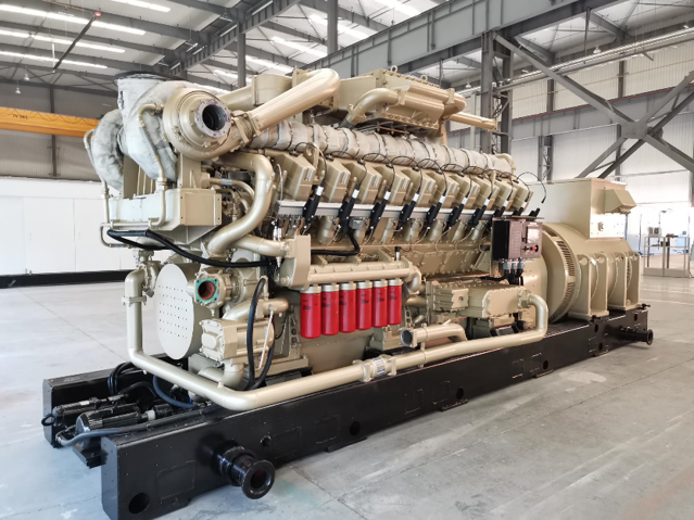 H20V天然氣/沼氣發(fā)電動力